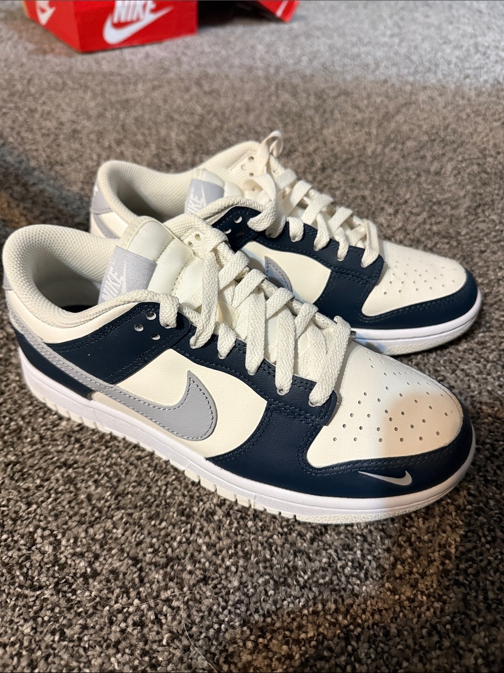Nike Low-Top Sneakers in Navy, White and Light Gray